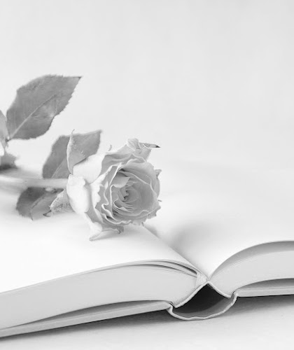 Trauer in Worten - Trauerrednerin Susan Schönfeld