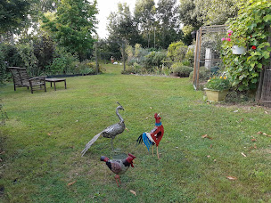 Photo n°11 de La Rabine Jardin à Neulliac (Jardin)