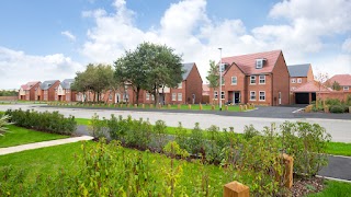 David Wilson Homes - The Skylarks