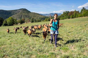 Photo n°6 de Biquette de la Jaubernie à Coux (Fromagerie)