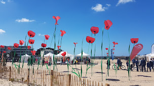 Photo n°8 de Camping du Bugeau à Pornichet (Terrain de camping)