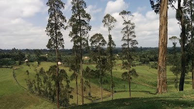 Photos of Stunning Ethiopia Tours