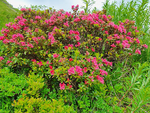 Photo n°25 de Refuge du Mont-Joly à Saint-Gervais-les-Bains (Alimentation et boissons)