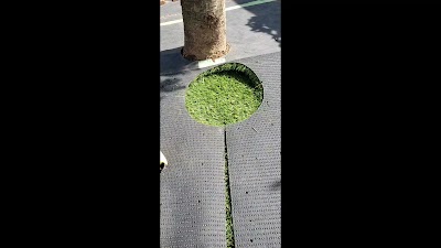 森林グリーン【人工芝専門店】