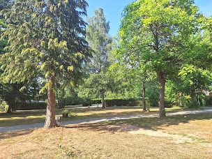 Photo n°64 de Flower Camping du Lac de la Seigneurie | Camping en Franche Comté dans les Vosges à Leval (Piscine)