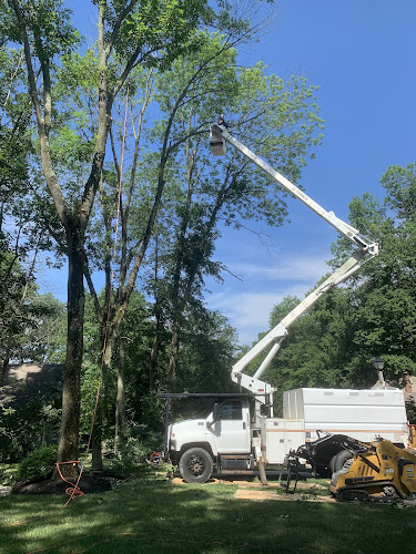 Liberty Tree Service LLC