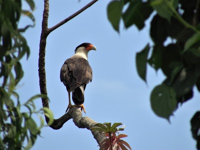 Photos of Los Tarrales Lodge and Nature Reserve
