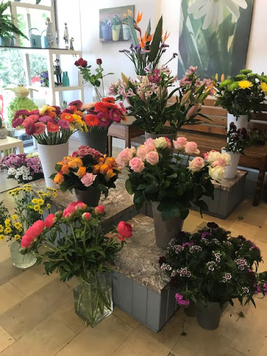 Blumen Grosse - Thumbnail