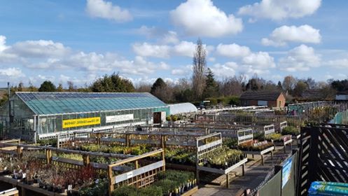 Moores Nurseries and Garden Centre Ltd