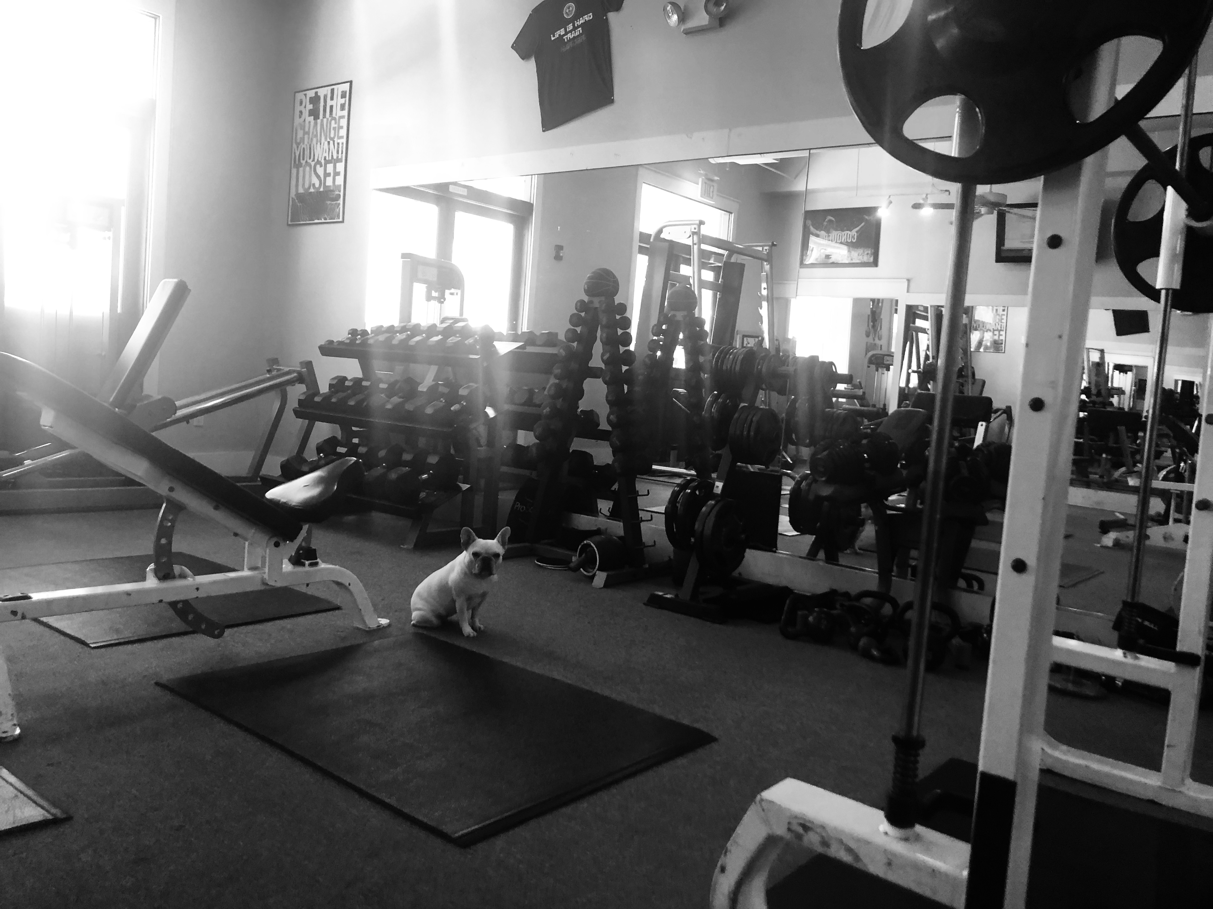 Paradise Fitness Gym in Carillon Beach photo 19
