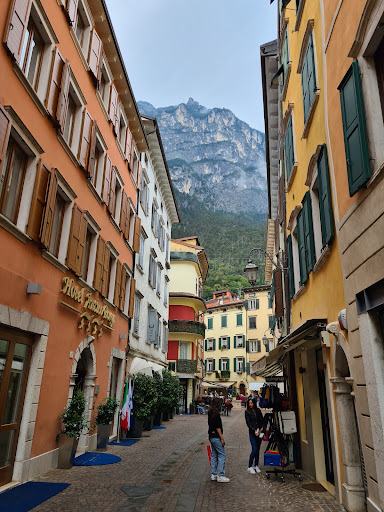 Bar Troiani - Thumbnail