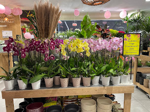 Photo n°7 de Lafleur à Lille (Fleuriste)