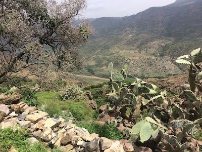 Photos of Hareko