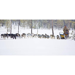 Photo n°35 de Scanditours - Agence de voyage à Paris (Voyagiste)