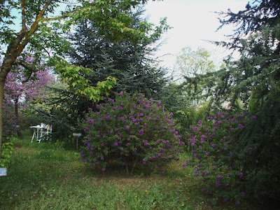 Photos of B & B La Rosa dei Venti