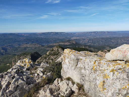 Les Picòssies