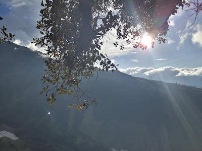 Photos of Casa Del Arbol