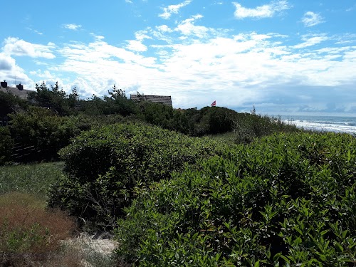 Šventoji.net - nameliai prie jūros - Kuršių takas, Palanga