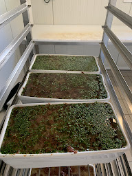 Photo n°21 de Boucherie Charcuterie Serroul à Coucouron (Magasin de vins et spiritueux)