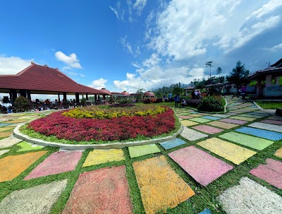 Photos of argowisata strawberry