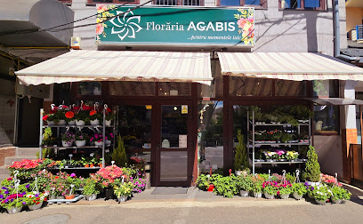 Agabis Flower Shop