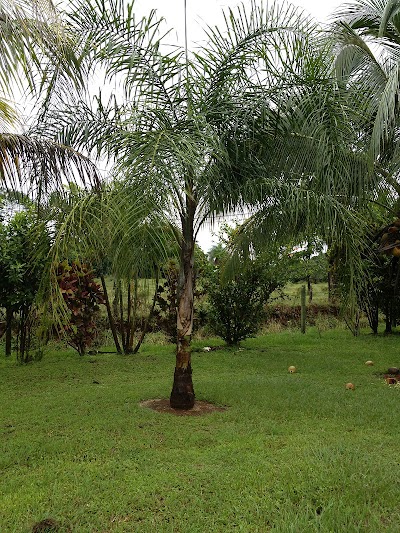 Photos of La Hoja Nueva