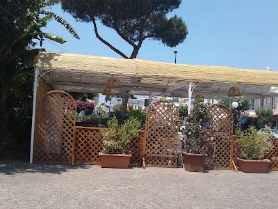 Photos of Rental of Franco Ischia