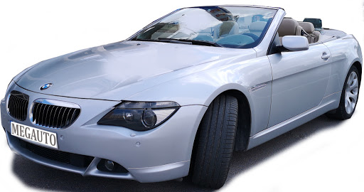 FREGAUTO - Visual