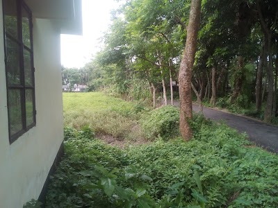 Photos of দক্ষিণ মান্দারী পোস্ট অফিস