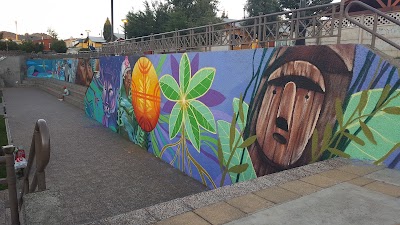 Photos of Parque Corvalan