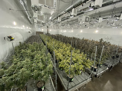Photo of R.Greenleaf Midtown - Albuquerque Cannabis Dispensary