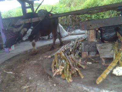 Photos of Traditional Sugarcane refinery Katayo