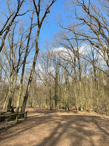 Hundekehlefenn - Thumbnail