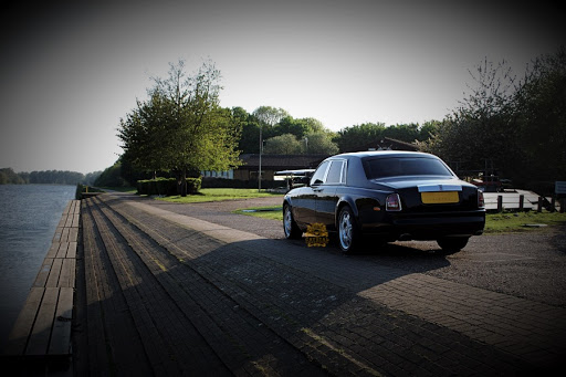Limo Website - Visual