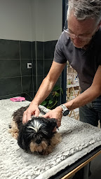 Photo n°8 de HUNDANUDD Massage et Bien-être Canin à Arrayou-Lahitte (Centre de bien-être)