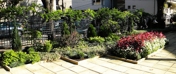 Зелена идея - Русе