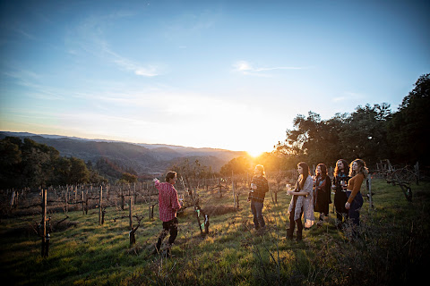 SEAWOLF Wines (SEAWOLF Wines LLC) by null