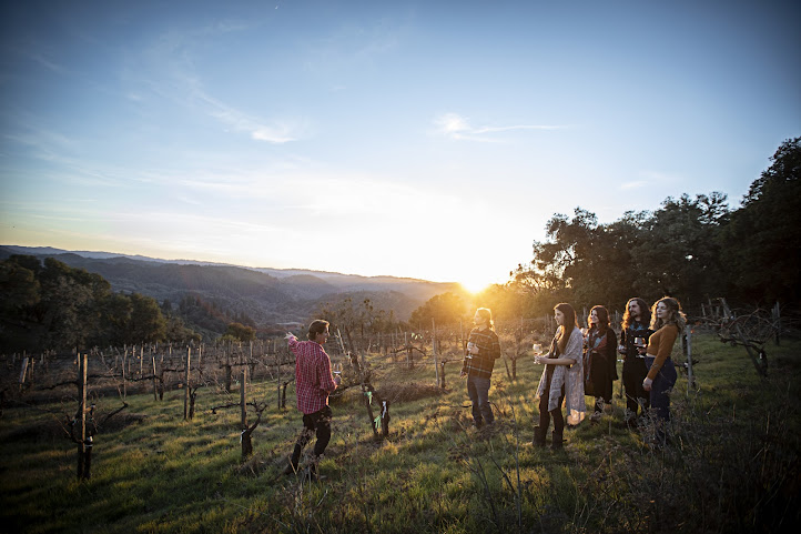 SEAWOLF Wines (SEAWOLF Wines LLC) by null