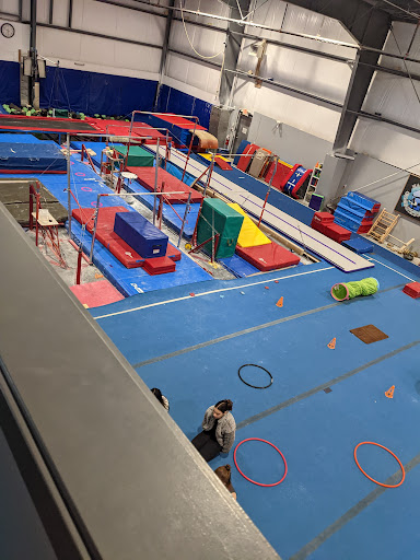 Nanaimo Gymnastics School Logo