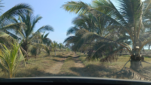 Ciudad Bebote