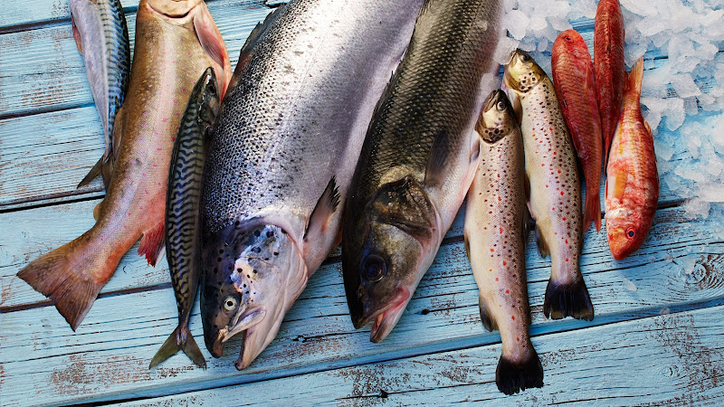 Deutsche See Fischmanufaktur