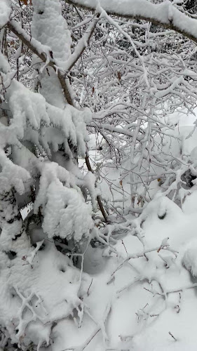 Comentarii opinii despre Конна езда Ризови Смолян