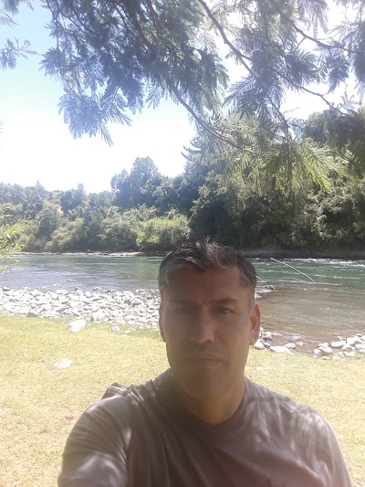 Photos of Los Boldos