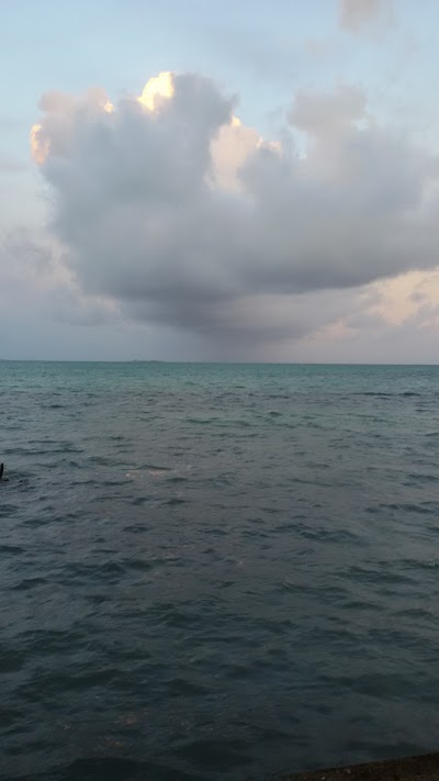 Photos of Mahebourg Fish Landing Station
