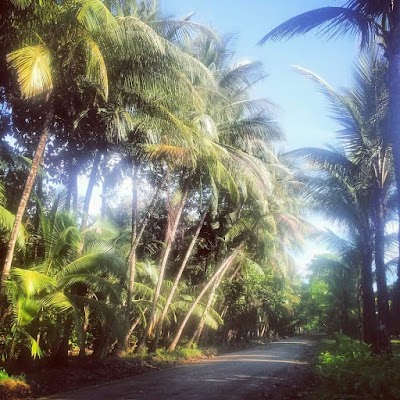 Photos of Zancudo Beach Bachelors Club