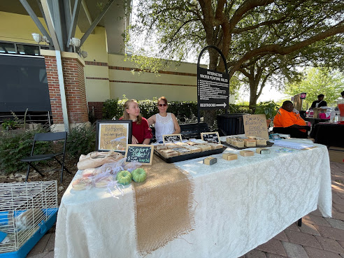 Southwood Town Center by null