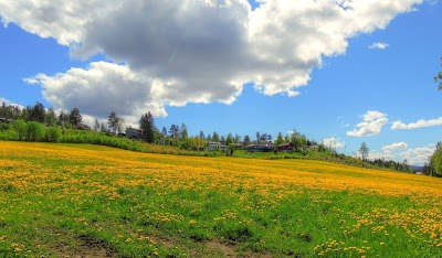 Photos of Amli municipality