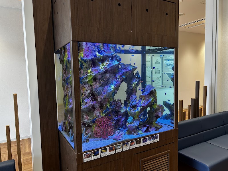 プラザ薬局 枚方大橋店