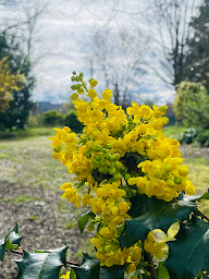Photo n°52 de Restaurant Le Piquenchagne à Saint-Yorre (Restaurant gastronomique)