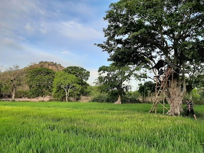place-of-worship